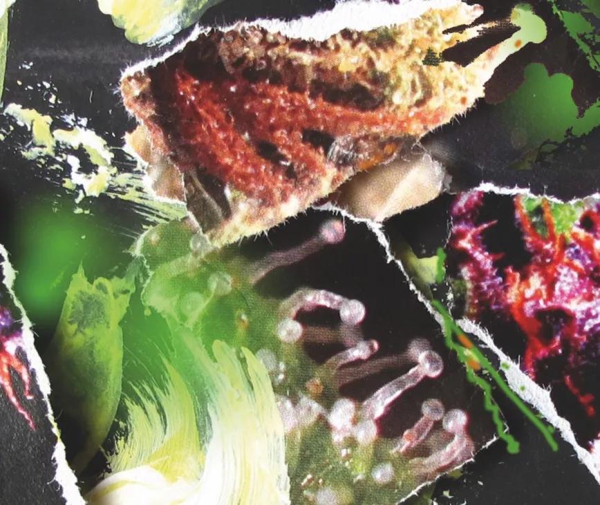 "En estos últimos años, a lo único que vi que el cannabis pueda ser una puerta de entrada es a la jardinería, y no a ninguna droga dura”, dice Carlos Laje