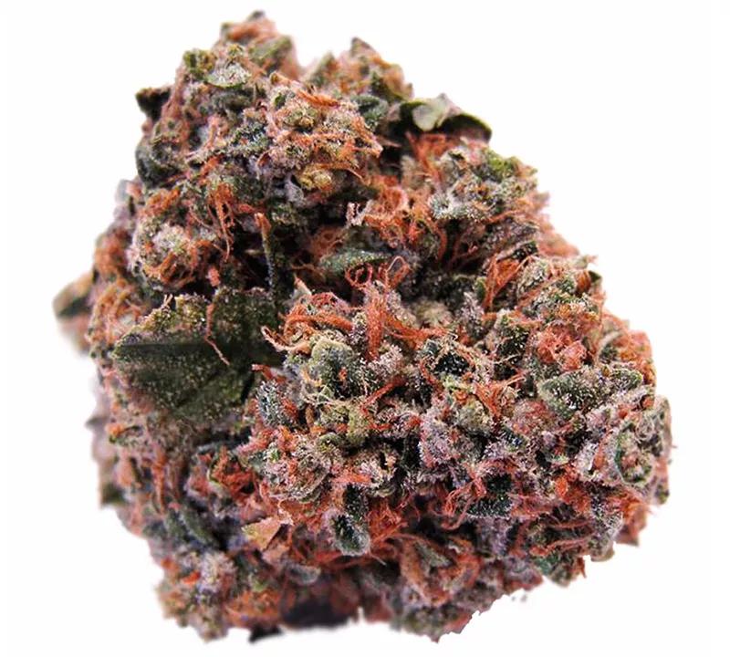 Strawberry Kush