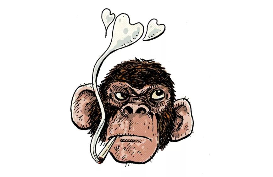 Entre la espada y la pared