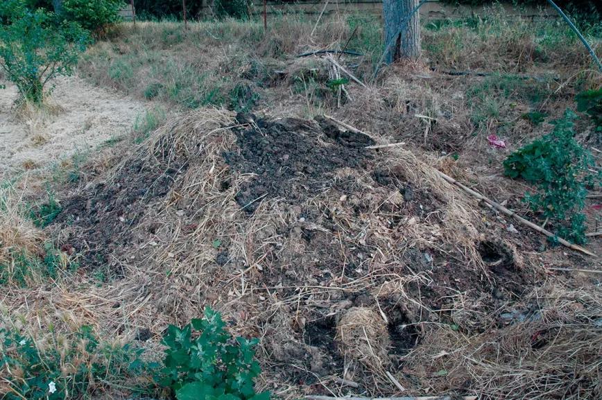 Añadiendo al compost el activador de microorganismos beneficiosos estimulamos la descomposición sana de la materia orgánica