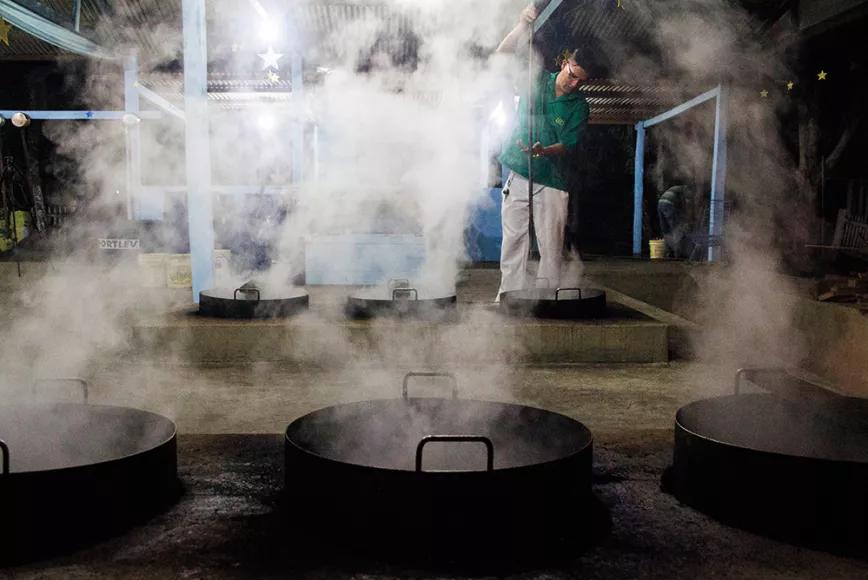 Preparo de ayahuasca