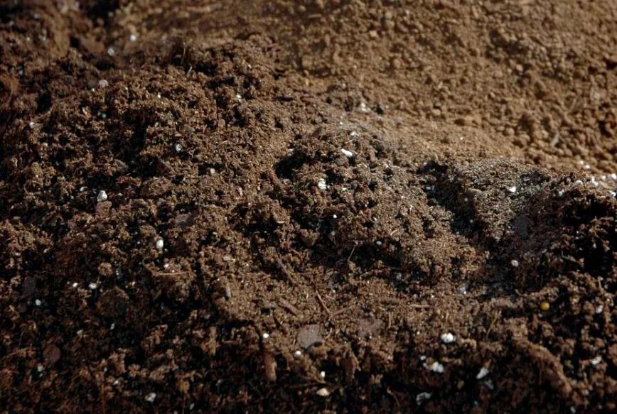 Sustrato bien diseñado