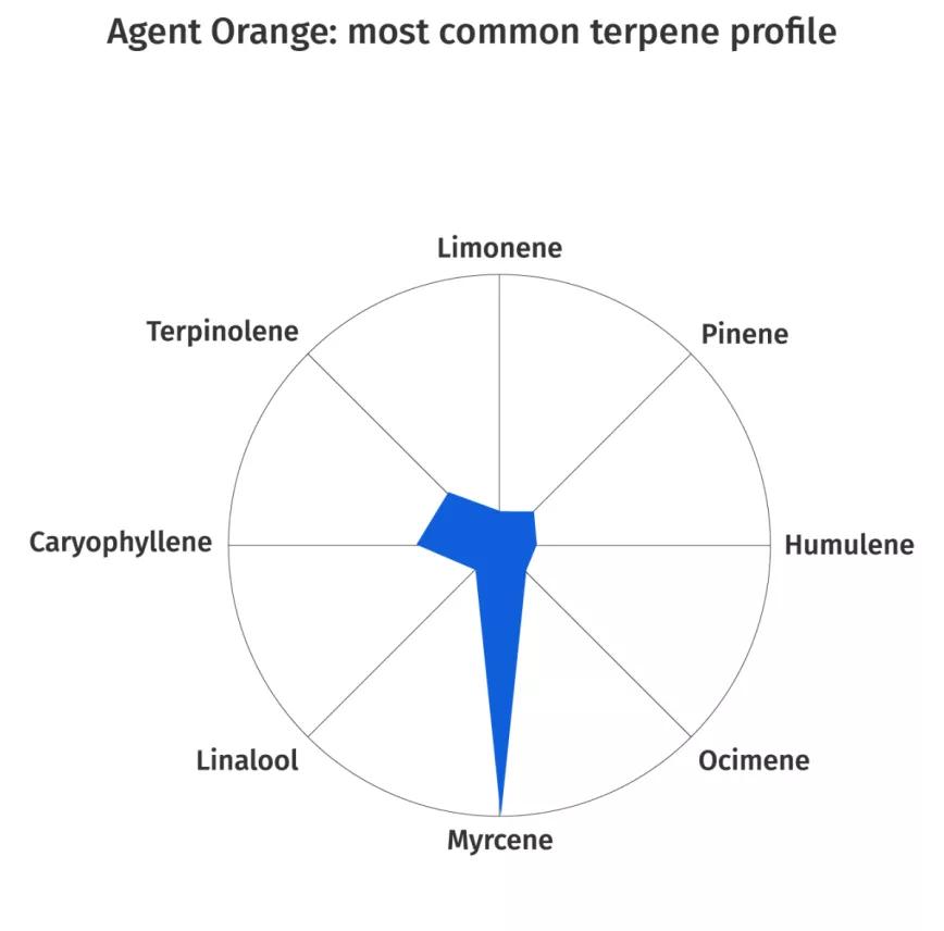 Agente Naranja:  Cruce de Jack the Ripper y Orange Velvet. Tiene un olor potente a naranja. La gente que la consume suele utilizarla por sus efectos relajantes y porque ayuda a despertar la creatividad así como a mantener la atención.