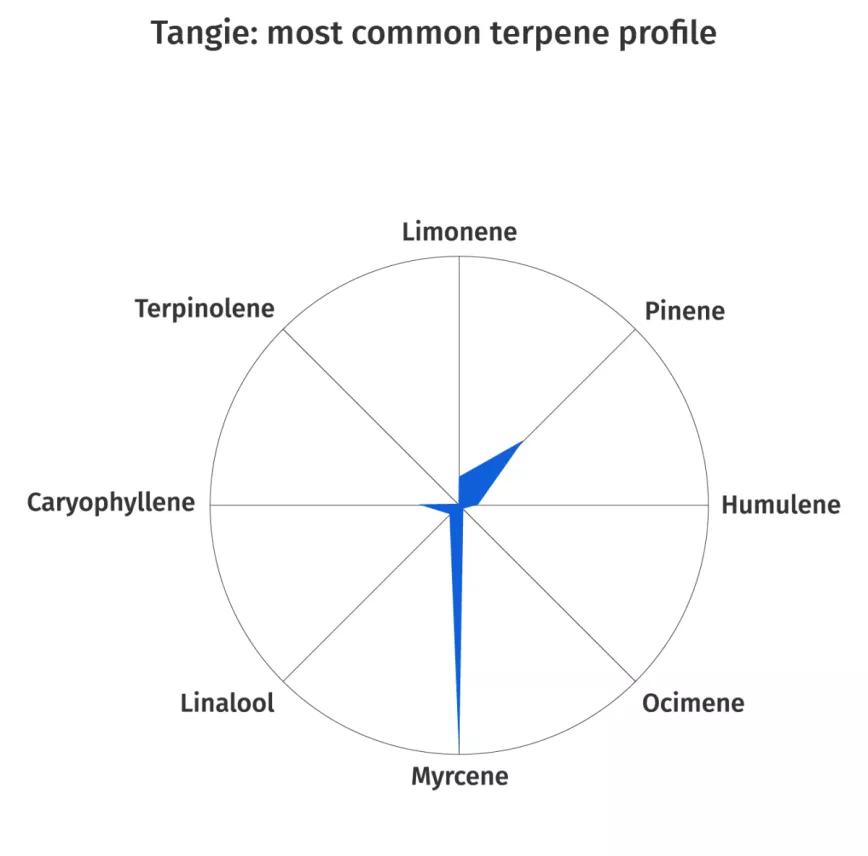 Tangie:  Cruce de California Orange con Skunk. Tangie es similar a la clásica Tangerine Dream, de ahí su nombre. Tiene una potente esencia a cítrico que recuerda al olor de las mandarinas (¡cómo no!). Según el tipo de consumidor se encuentra esta variedad con efectos euforizantes o relajantes.