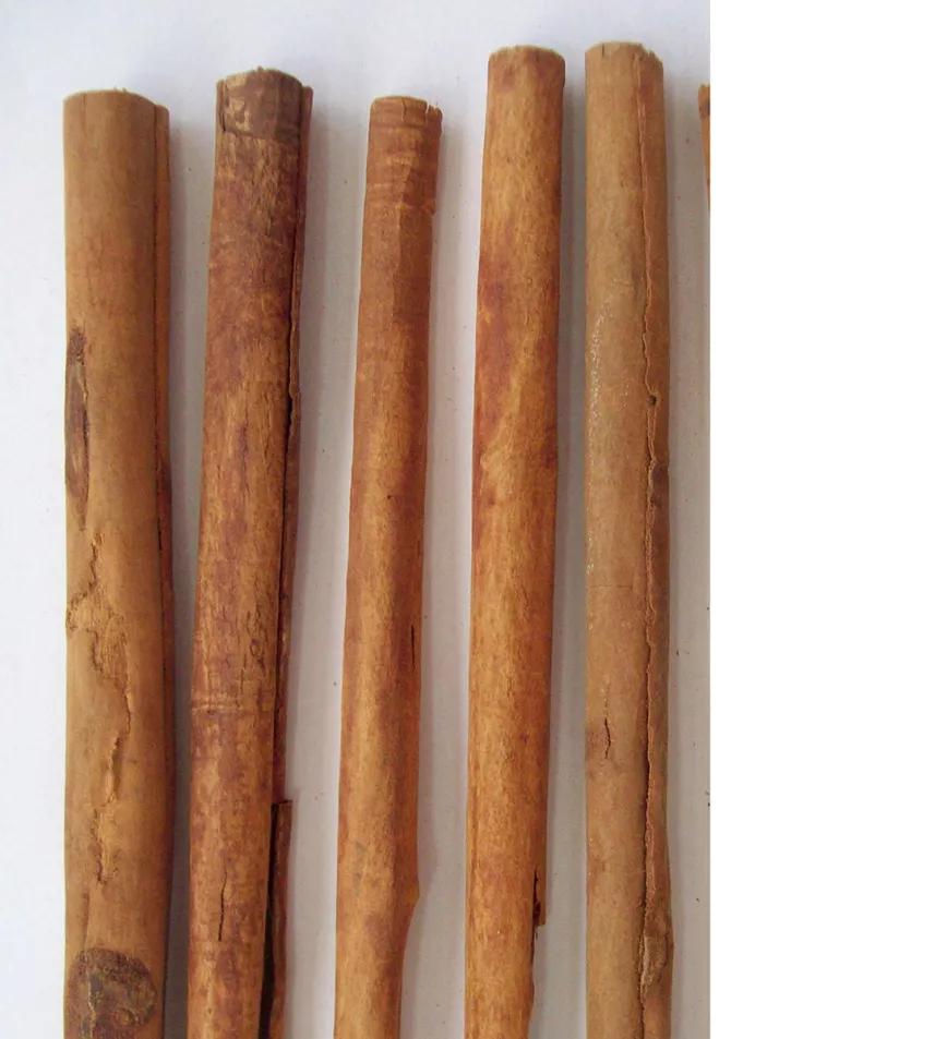 Canela en rama