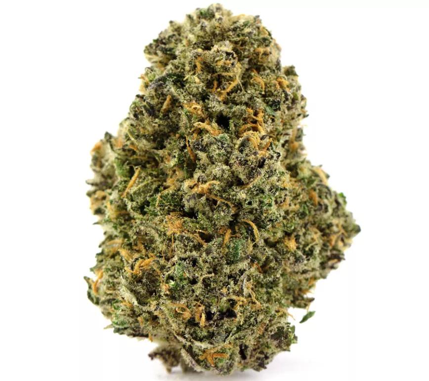 BIG SMOOTH: Cruce de OG Blueberry y Cookies and Cream, es una planta dulce y terrosa que produce un efecto tan eufórico como el hacer el amor. El estrés y las inhibiciones se evaporar como un mal sueño cuando uno está con Big Smooth. Su golpe de THC (una media de 19-22%) permite que se pueda consumir en cualquier momento.