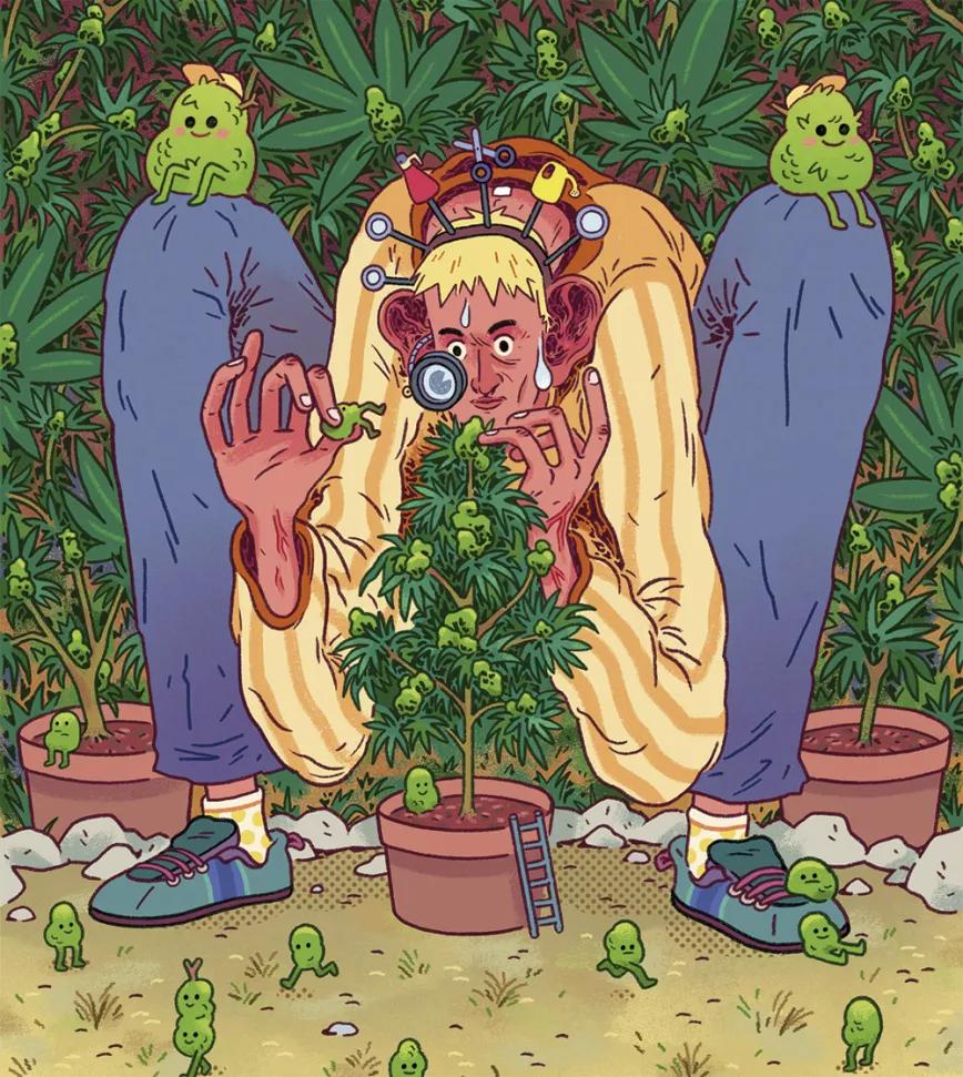 El momento óptimo para cosecharlas