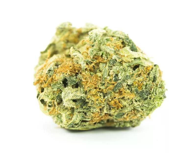 GOLDEN TICKET: Te tocó el viaje a la fábrica de Willy Wonka amiga. Ayuda a la creatividad. Ideal para acompañar tu obra maestra mientras observas el mundo pasar desde tu ventana.