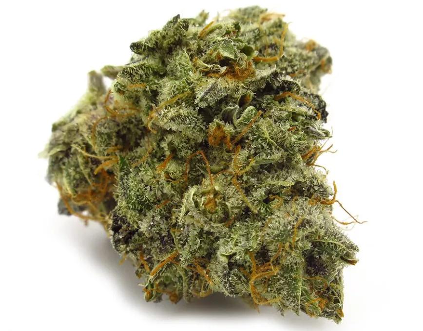 WHITE BUFFALO: Recuerdos a madera y a flores recién cortadas. Euforia en su estado más puro, envuelto en energía y excitación.