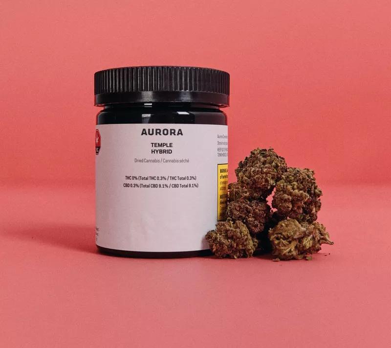 TEMPLE de Aurora: Entre 10 y 11% CBD y 5%THC. Otra planta que te puede colocar un poco mientras recibes los efectos sedantes del CBD. Existen algunas versiones que llegan hasta el 18% CDB.