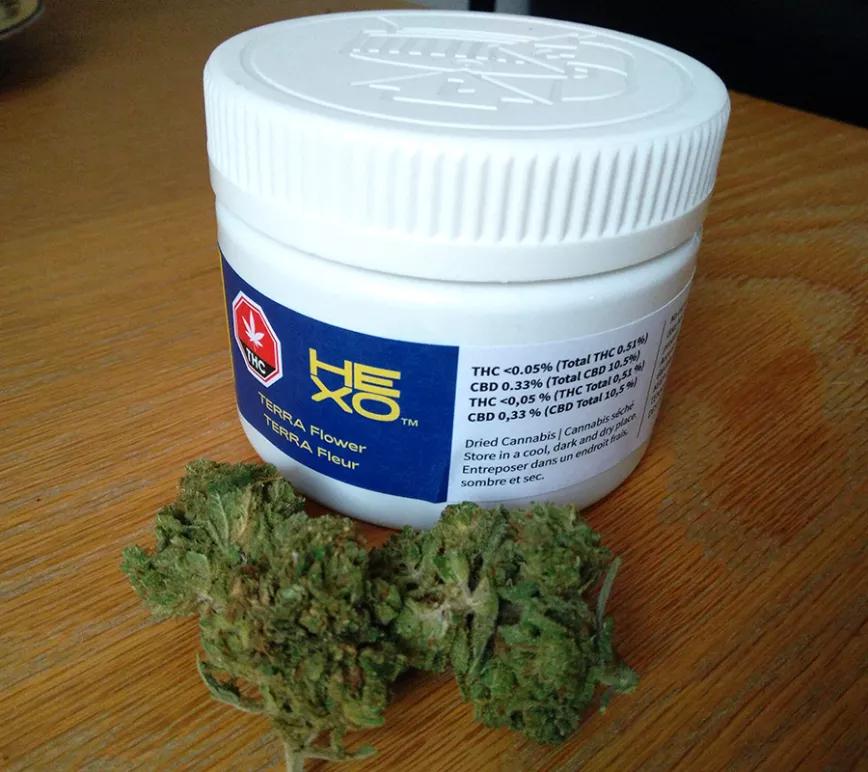 TERRA de HEXO: Otra variedad que se mantiene en el 15.5% de CBD. Terra es una variación de Remedy. Mirceno, cariofileno y pineno como los terpenos dominantes. Por desgracia, solo se puede compara el Alberta y Quebec.