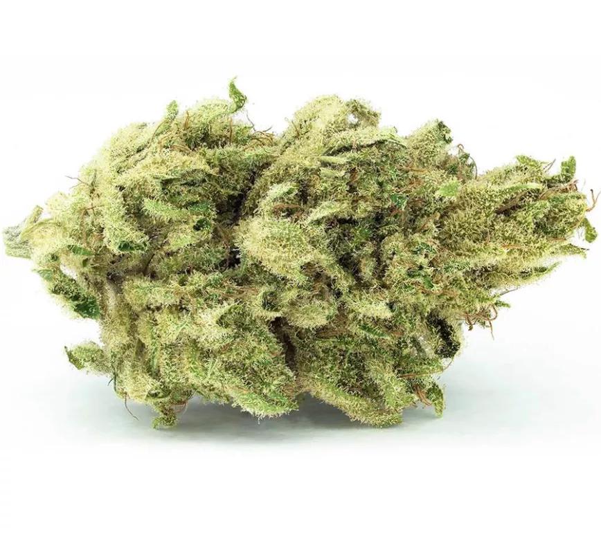 CANNATONIC de Tantalus: Escasísimo THC y una cantidad media de 15% CBD. Pireno, guiol y humuleno son los terpenos dominantes. Se vende solo durante el otoño (habitualmente en noviembre).