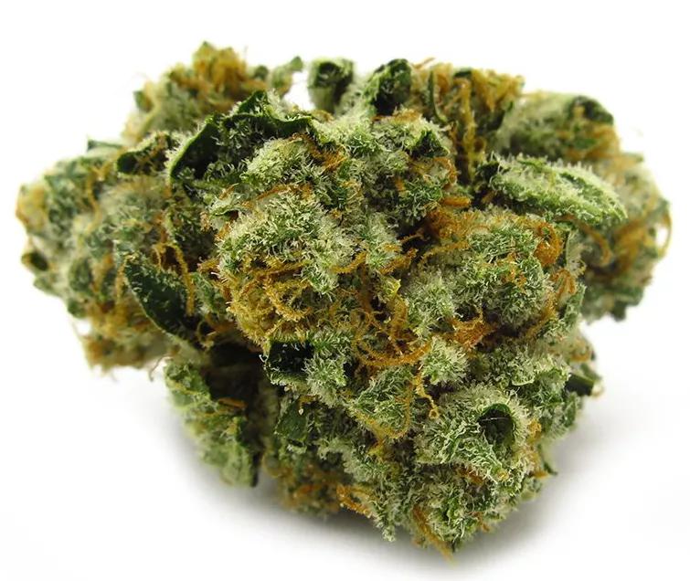 Diamond OG: El pineno dominante de sus tricomas le da un toque a mango y guayaba. Sabores tropicales para que jueguen en tu paladar como los zíngaros del desierto que a ti te gusta ver danzar.