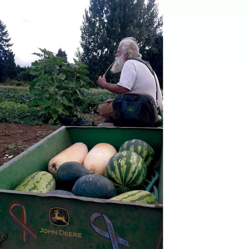 Tom, otea el horizonte