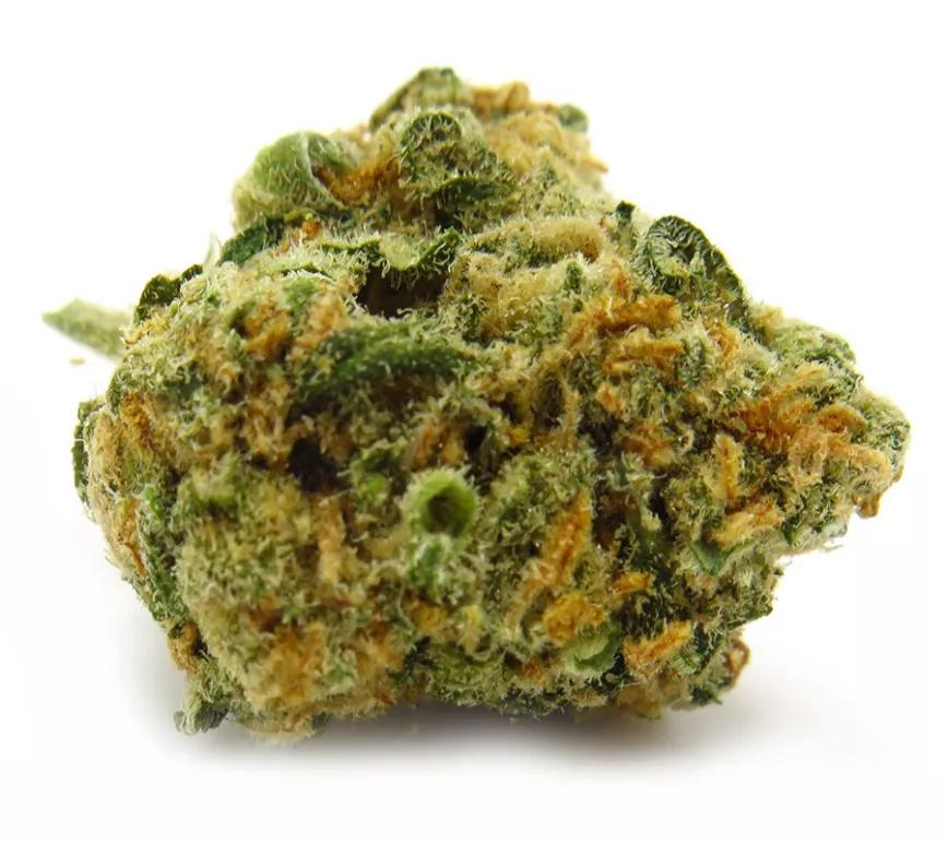 MANGO KUSH:  Sabe muy parecida al mango aunque al exhalar llega cierto sabor a pino. Una variedad que te deja con el ánimo en alto y eufórico. Si te pasas con la cantidad te deja un tanto traspuesto y dispuesto para el descanso. Para el día o para la noche, según lo necesites.