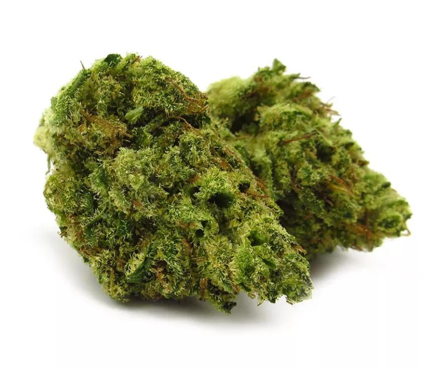 Banjo:  Esta variedad lleva ya un tiempo dando guerra en los EE.UU. Desde 2018 su popularidad crece pero no acaba de despuntar nunca como una de las preferidas del público. Sin embargo, se cree que cuando la legalización esté más extendida este será el tipo de variedad que más se demandará pues es para tolerancia media, baja. Un THC razonable para que te cambie el humor pero no demasiado fuerte como para dejarte tirado.