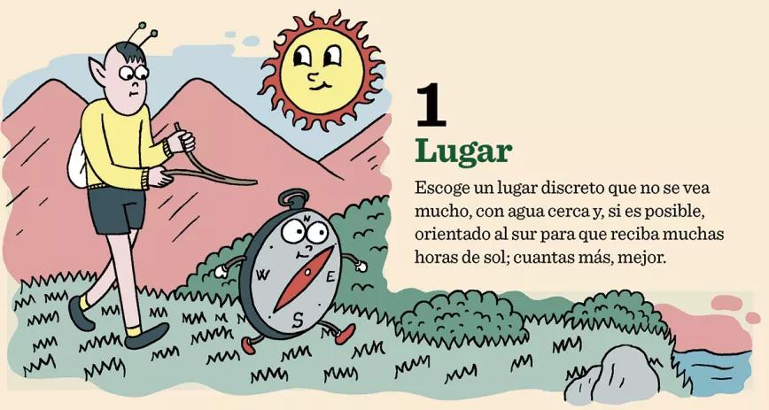 10 pasos para plantación 01