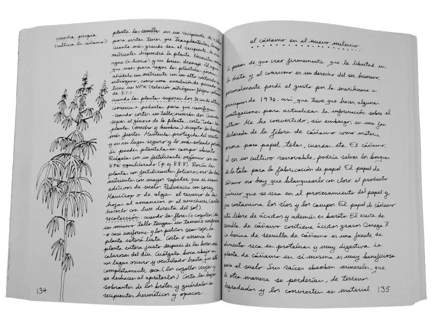 Viviendo en la Tierra, Alicia Bay Laurel