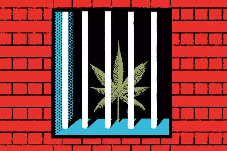 Se pospone la reclasificación del cannabis. Editorial #268