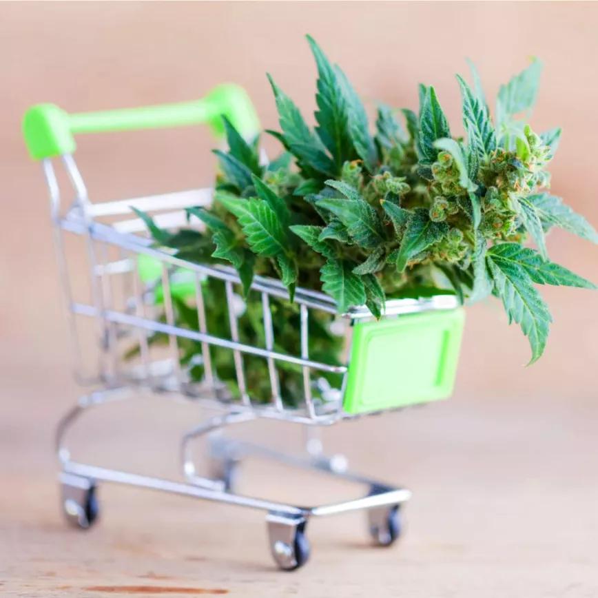 Ventas de cannabis se disparan en Michigan