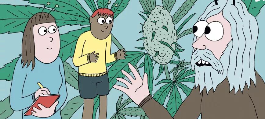 9 Trucos para cultivadores PORTADA