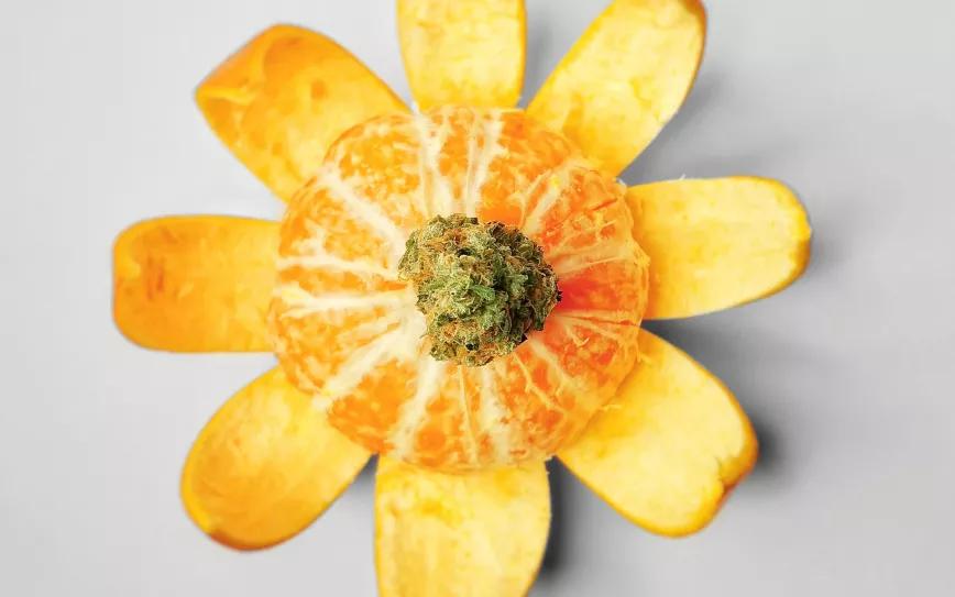 5 variedades con sabor a naranja