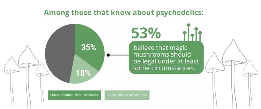 53% que conocen la psilocibina quiere que se legalice, dice un estudio