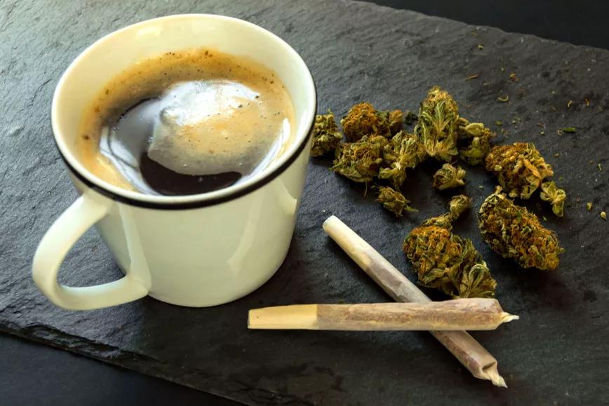 Cómo actúan la Marihuana y el café