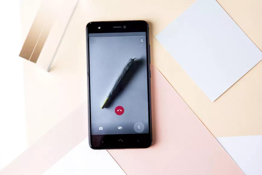 Imagen de un porro en una videollamada