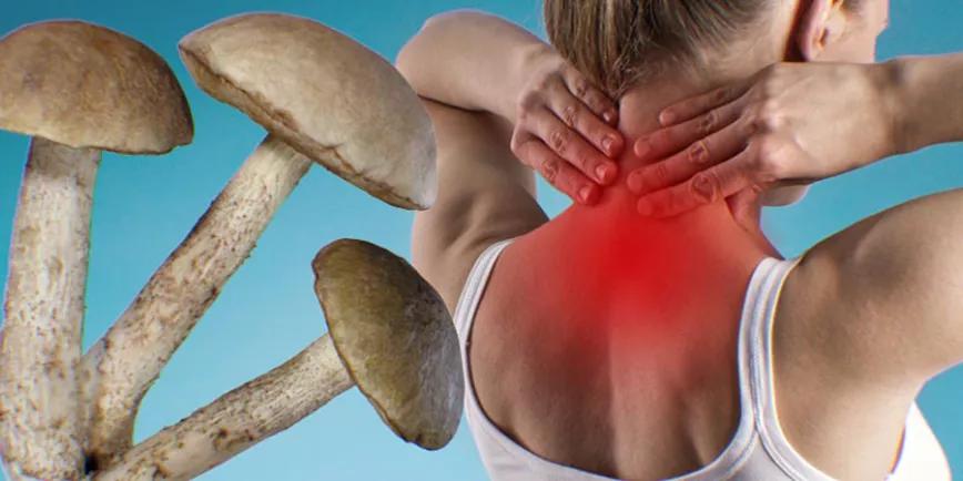¿Psilocibina contra el dolor crónico?