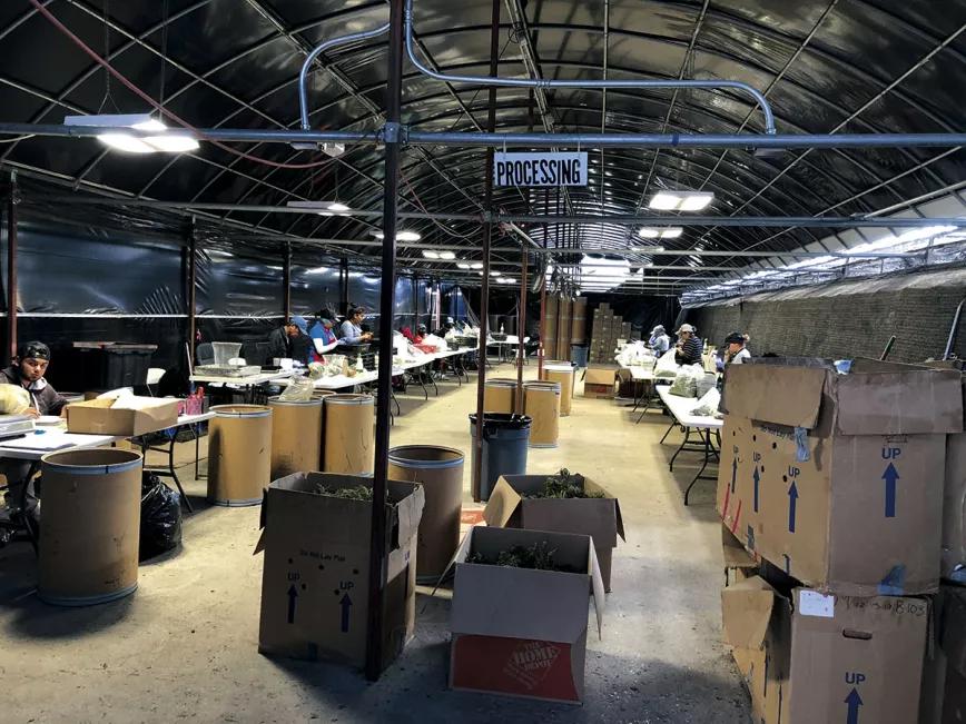 Almacen de la empresa Cannacraft