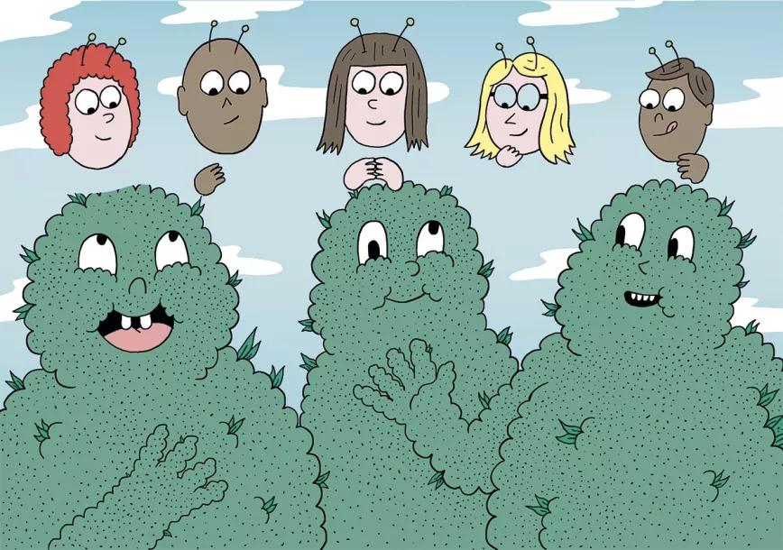 Diez trucos para engordar cogollos