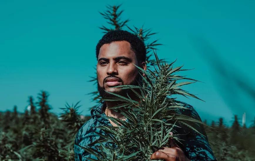 Nico Marley, nieto de Bob Marley, entra en el negocio del cannabis medicinal