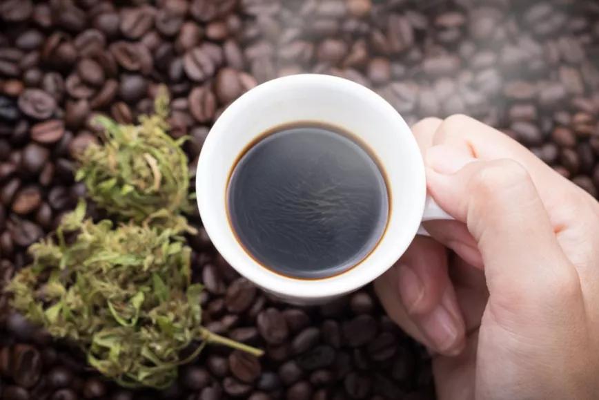 Cannabis y Café: ¿Cómo emparejarlos?