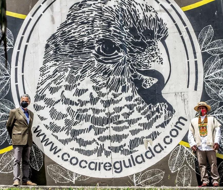 #CocaReguladaPazGarantizada