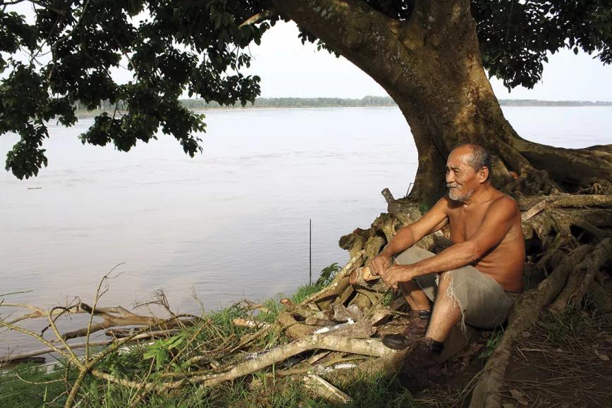 El curandero cocama Rogelio Carihuasari