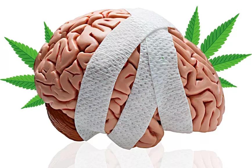 El THC contra el daño cerebral, ¿cómo puede ayudar?