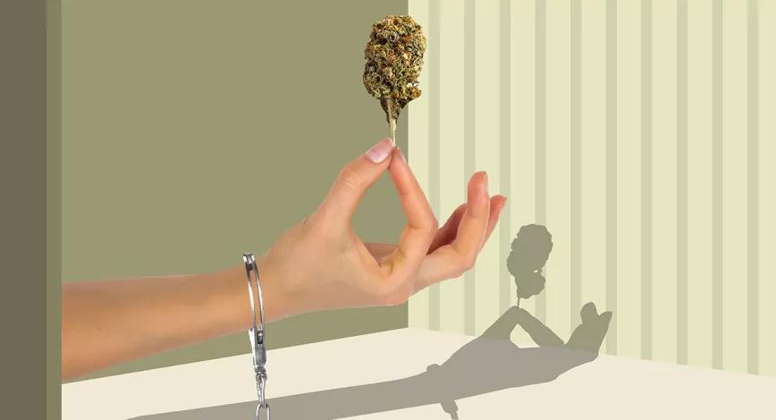 Washington D.C: Ley para animar a ex presidiarios a entrar en el negocio legal de cannabis