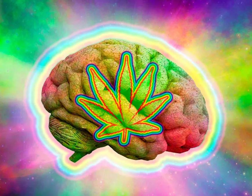 ¿La marihuana es la puerta a la creatividad?