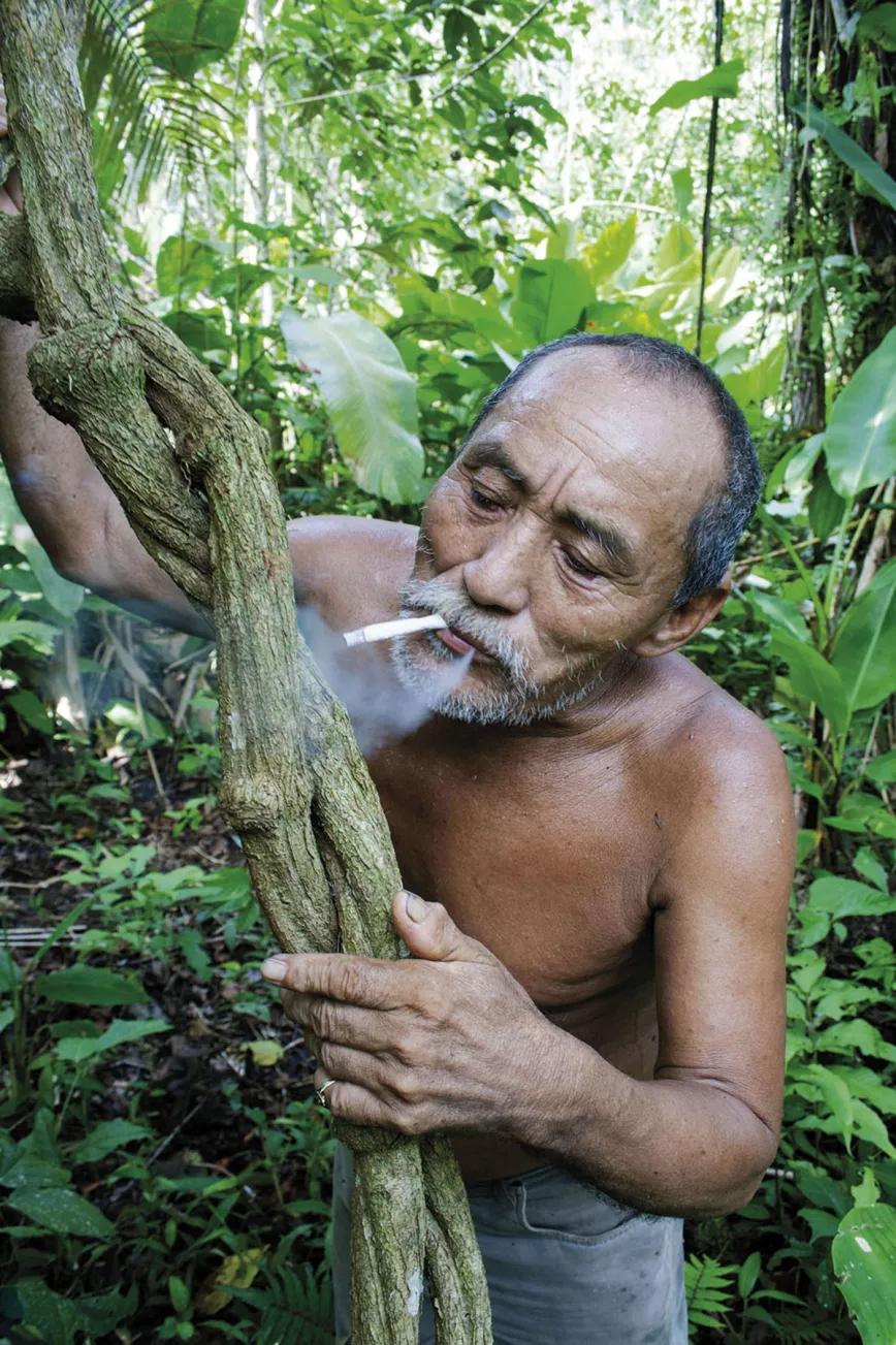 Don Rogelio Carihuasari