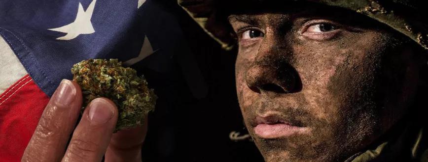 El cannabis como arma de guerra