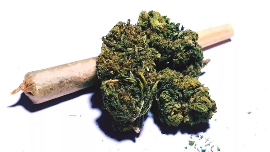 Las 100 mejores variedades de todos los tiempos que uno debe probar