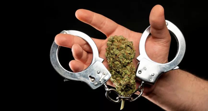 Los arrestos por cannabis caen por primera vez en cuatro años