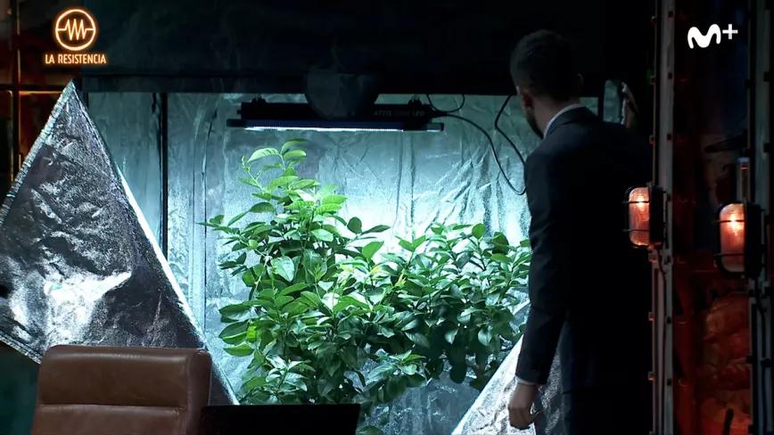 La Resistencia pone armarios de cultivo de cannabis en su escenario