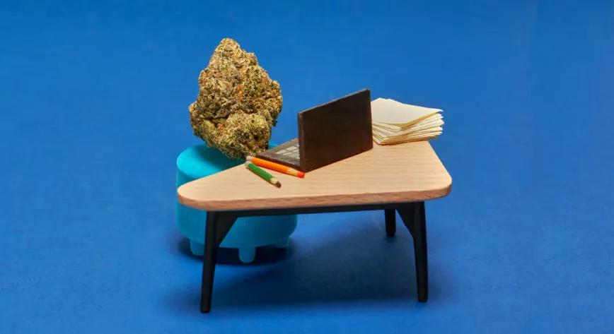 Las mejores variedades de cannabis para trabajar en casa