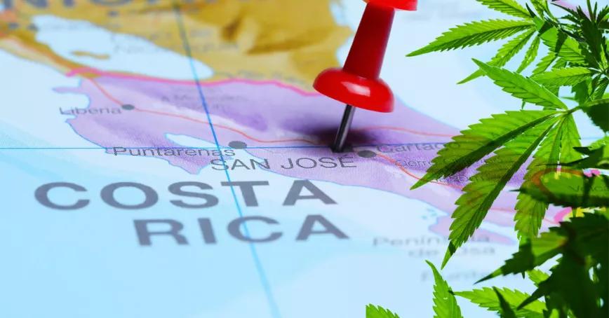 Costa Rica envía una ley del cannabis medicinal al Congreso 