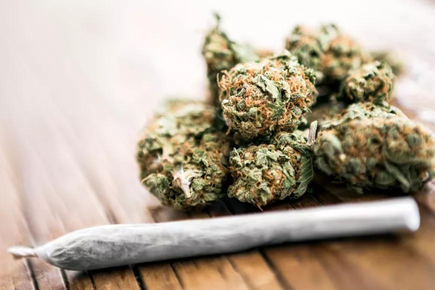 Así funcionarán los clubes de cannabis en México