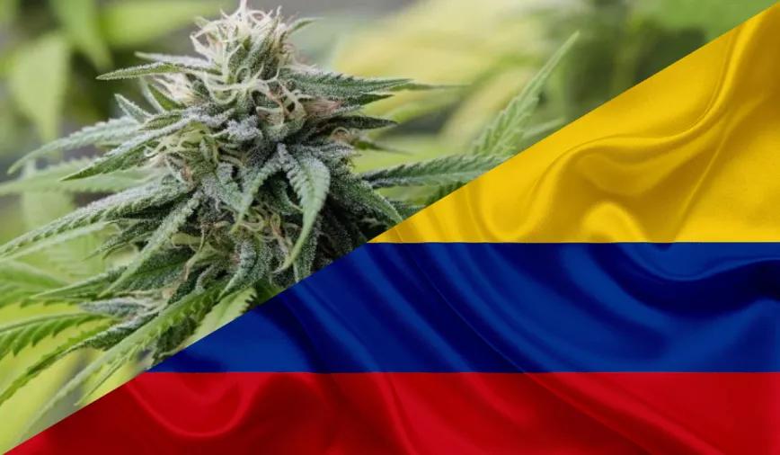 Una comisión del Senado colombiano aprueba un nuevo proyecto de ley del cannabis recreativo