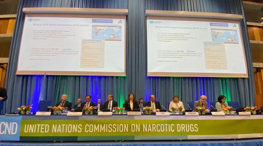 La ONU reconoce la utilidad terapéutica del cannabis