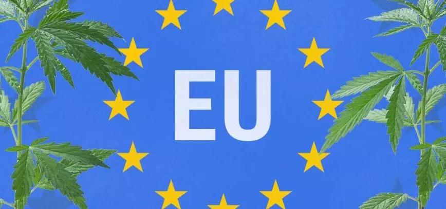 La Comisión Europea declara que el CBD puede venderse como alimento